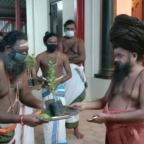 Dharmapura Adheenam
