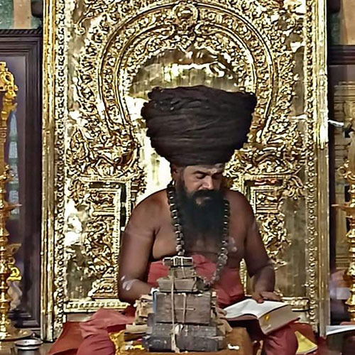 Vaitheeswaran Koil Nadi