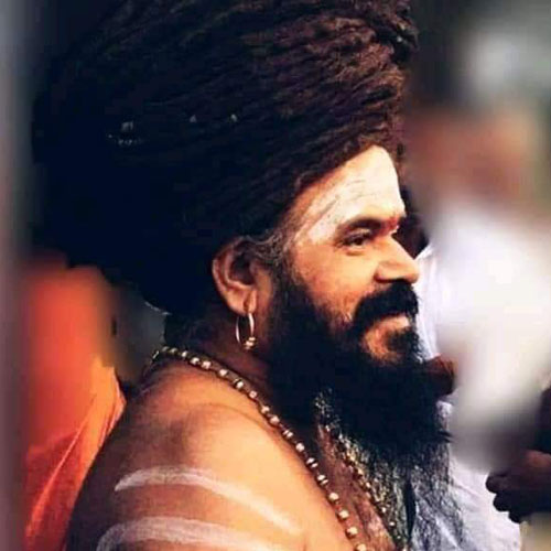 dharmapura adheenam swamy