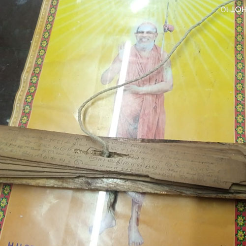 nadi leaf reading